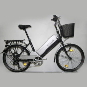 Bici elettriche